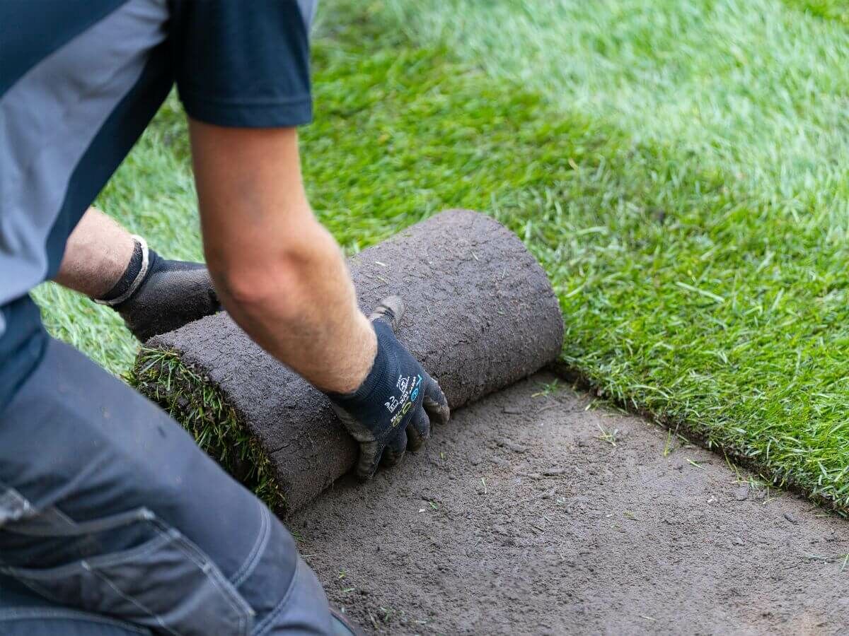 Stappenplan voor het aanleggen van graszoden