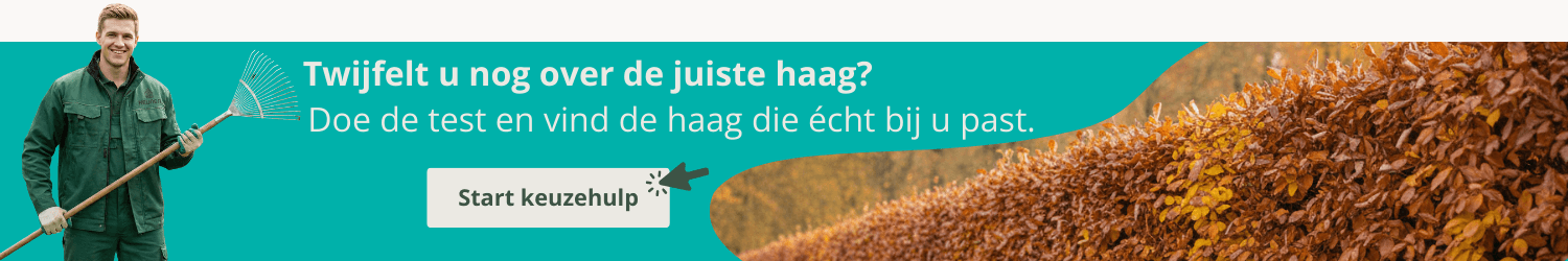 Keuzehulp